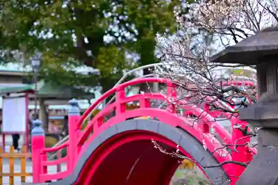 亀戸天神社(東京都)