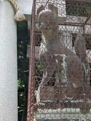 武信稲荷神社の狛犬