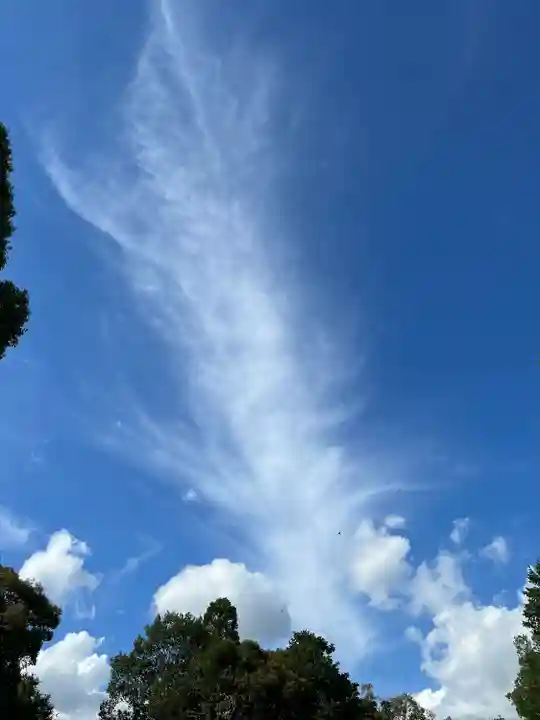 武蔵一宮氷川神社(埼玉県)
