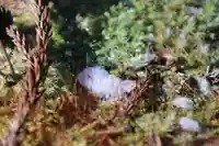 多賀神社の自然