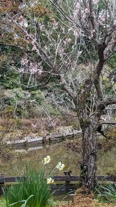 梅宮大社(京都府)