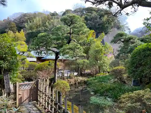 光触寺の庭園