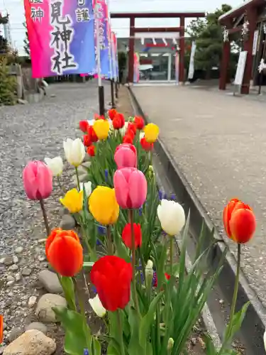 七重浜海津見神社の{uncategorized: "未分類", other: "その他", undefined: "問題あり", building: "その他建物", grave: "お墓", sacred_gate: "鳥居", guardian: "狛犬", statue: "像", buddha: "仏像", history: "歴史", nature: "自然", garden: "庭園", animal: "動物", pagoda: "塔", temizu: "手水舎", mountain_gate: "山門・神門", sanctuary: "本殿・本堂", subordinate: "末社・摂社", art: "芸術", scenery: "景色", jizo: "地蔵", ema: "絵馬", goshuin: "御朱印", omikuji: "おみくじ", items: "授与品その他", amulet: "お守り", goshuincho: "御朱印帳", eats: "食事", festival: "お祭り", votive_dance: "神楽", shichigosan: "七五三参", wedding: "結婚式", experience: "体験その他", initially: "初詣", around: "周辺", anti_infection: "感染症対策"}