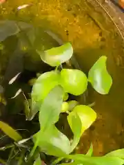 叶神社 (西叶神社)の庭園