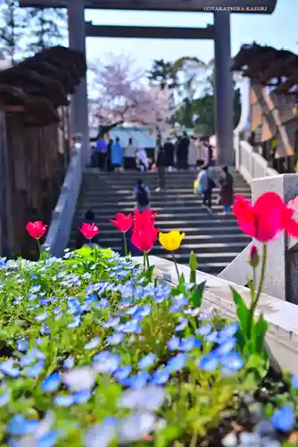 伊勢山皇大神宮(神奈川県)