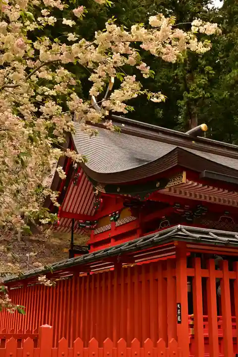 金櫻神社(山梨県)