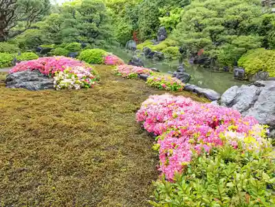 城南宮(京都府)