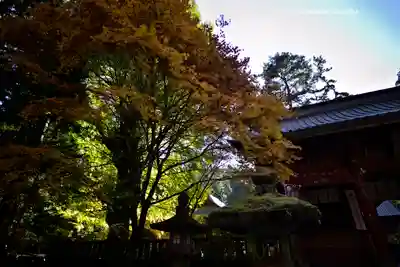 北口本宮冨士浅間神社(山梨県)