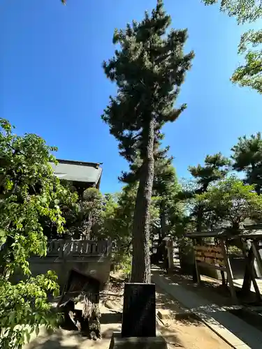 白幡天神社(千葉県)