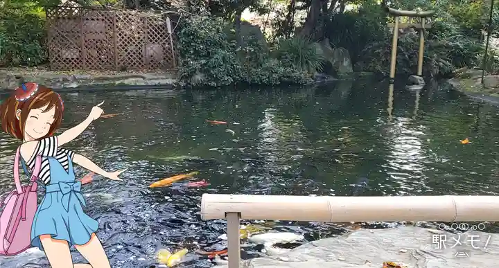 愛宕神社の庭園
