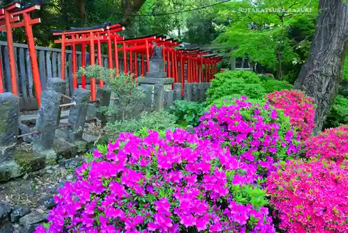 根津神社(東京都)