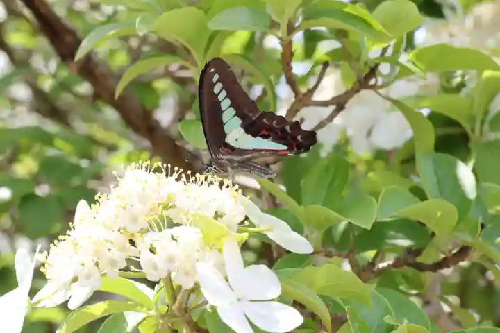 唐招提寺(奈良県)
