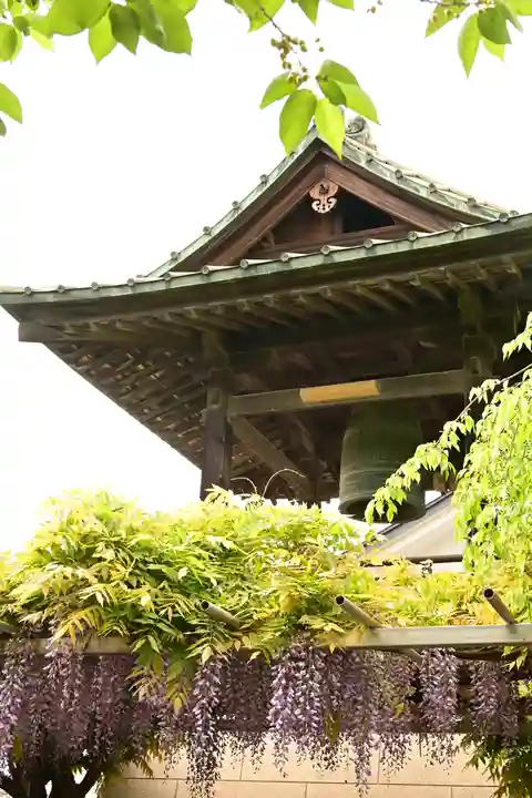 秩父札所十三番 慈眼寺(埼玉県)