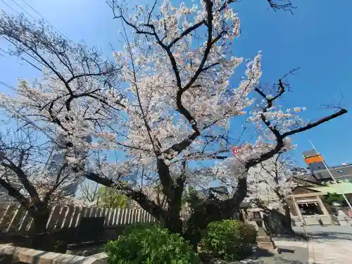 櫻宮(大阪府)