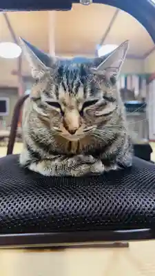 守りの神 藤基神社(新潟県)