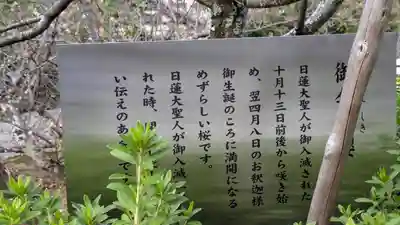 妙蓮寺(京都府)