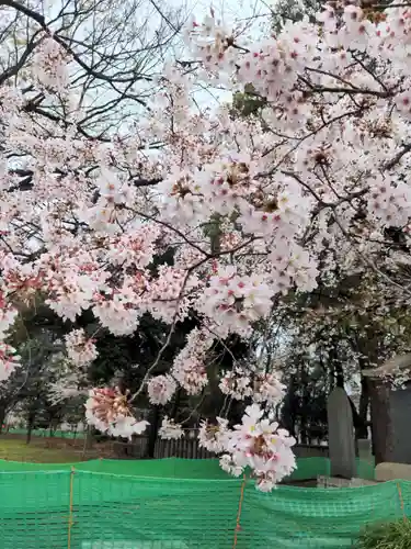 上野東照宮の自然