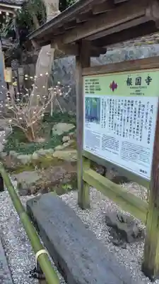 報国寺(神奈川県)