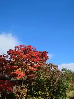 相馬神社(北海道)
