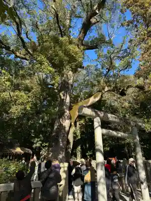 伊弉諾神宮(兵庫県)