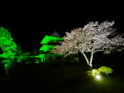 涌谷神社の{uncategorized: "未分類", other: "その他", undefined: "問題あり", building: "その他建物", grave: "お墓", sacred_gate: "鳥居", guardian: "狛犬", statue: "像", buddha: "仏像", history: "歴史", nature: "自然", garden: "庭園", animal: "動物", pagoda: "塔", temizu: "手水舎", mountain_gate: "山門・神門", sanctuary: "本殿・本堂", subordinate: "末社・摂社", art: "芸術", scenery: "景色", jizo: "地蔵", ema: "絵馬", goshuin: "御朱印", omikuji: "おみくじ", items: "授与品その他", amulet: "お守り", goshuincho: "御朱印帳", eats: "食事", festival: "お祭り", votive_dance: "神楽", shichigosan: "七五三参", wedding: "結婚式", experience: "体験その他", initially: "初詣", around: "周辺", anti_infection: "感染症対策"}