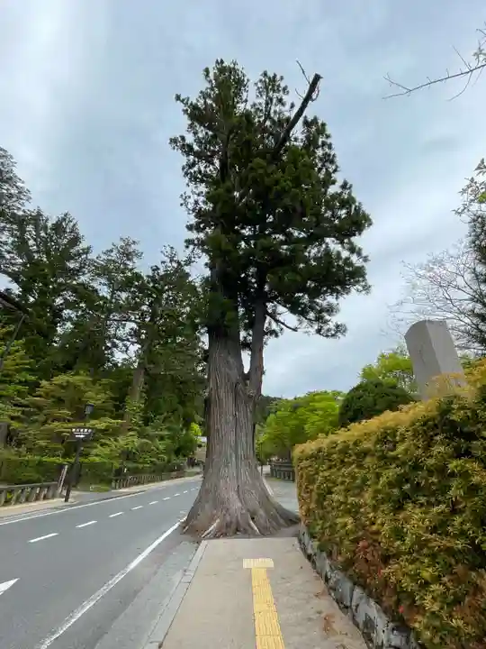 多聞院(和歌山県)