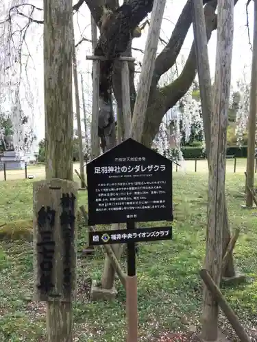 足羽神社の庭園