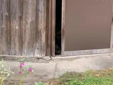 妙顕寺のその他建物