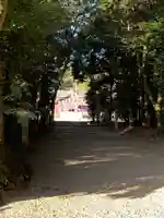 八雲社の本殿・本堂