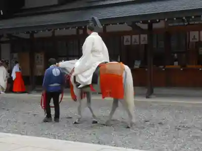 多賀大社(滋賀県)