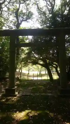 甲頭稲荷神社の鳥居