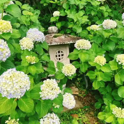 楽法寺（雨引観音）(茨城県)