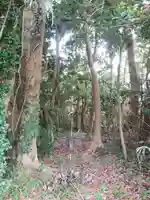 祠(名称不明)の周辺