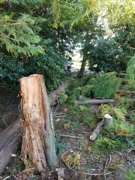 伏木香取神社の周辺