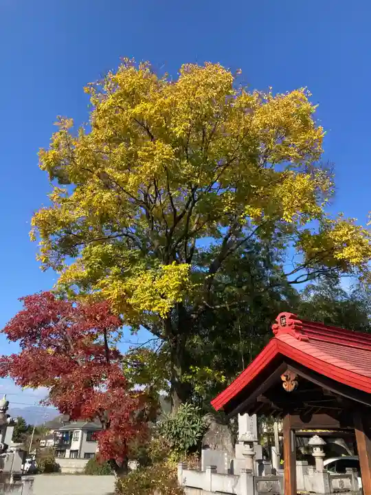 法蓮寺(山梨県)