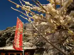 清水寺の自然