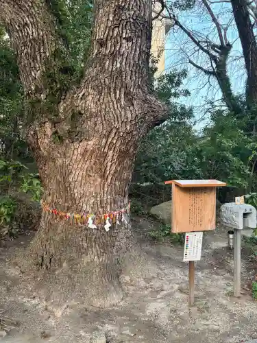 鳥飼八幡宮の{uncategorized: "未分類", other: "その他", undefined: "問題あり", building: "その他建物", grave: "お墓", sacred_gate: "鳥居", guardian: "狛犬", statue: "像", buddha: "仏像", history: "歴史", nature: "自然", garden: "庭園", animal: "動物", pagoda: "塔", temizu: "手水舎", mountain_gate: "山門・神門", sanctuary: "本殿・本堂", subordinate: "末社・摂社", art: "芸術", scenery: "景色", jizo: "地蔵", ema: "絵馬", goshuin: "御朱印", omikuji: "おみくじ", items: "授与品その他", amulet: "お守り", goshuincho: "御朱印帳", eats: "食事", festival: "お祭り", votive_dance: "神楽", shichigosan: "七五三参", wedding: "結婚式", experience: "体験その他", initially: "初詣", around: "周辺", anti_infection: "感染症対策"}