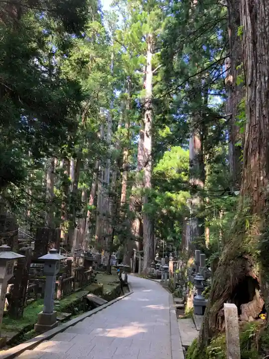 高野山金剛峯寺奥の院(和歌山県)