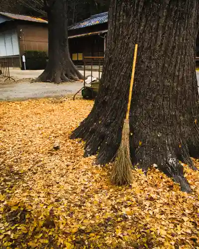 春日部八幡神社(埼玉県)
