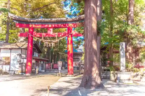 伊佐須美神社の鳥居