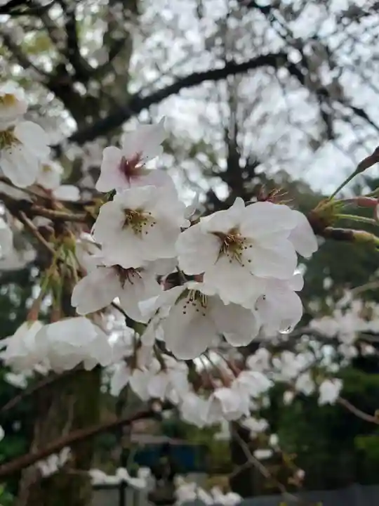 多田神社(東京都)