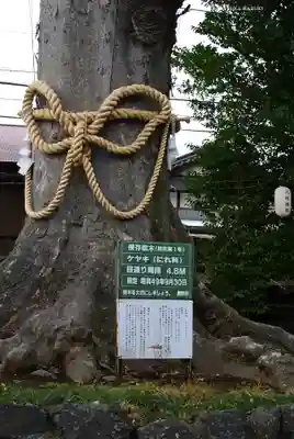 八坂神社(神奈川県)