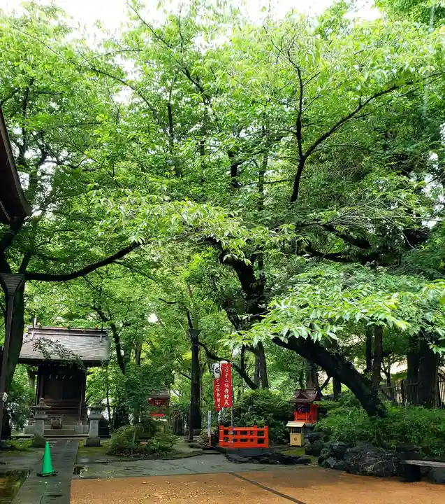 熊野神社の末社・摂社
