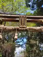 柏木神社の鳥居