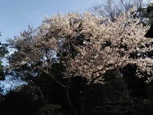 伊勢神宮内宮（皇大神宮）(三重県)