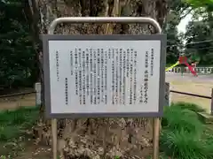 赤坂氷川神社の歴史