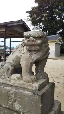堤台八幡神社の狛犬