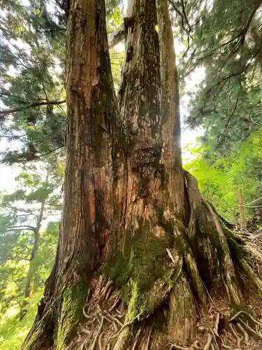 玉置神社(奈良県)