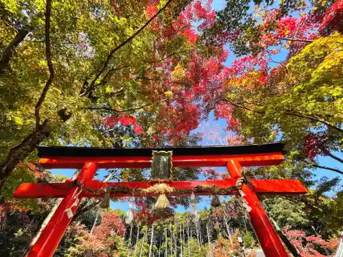 大原野神社の鳥居