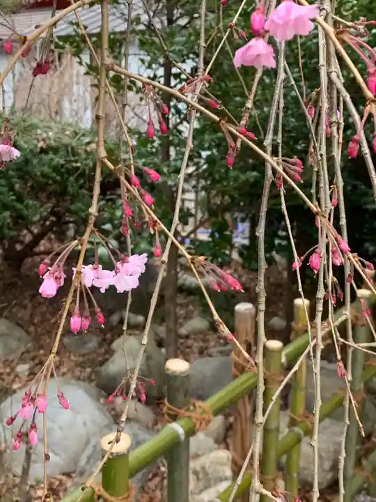 秩父今宮神社の自然